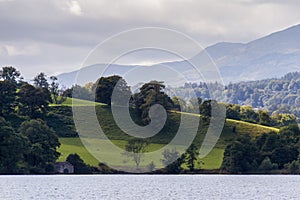 Pasture with grazing sheep near Lake Windermere, Cumbria in England