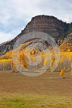 Pasture In Mountains
