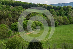 Pasture in the Mountains