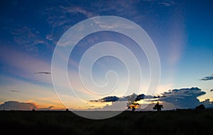 Pasture silhouette with a colorful sunset background