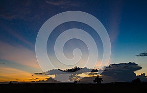 Pasture silhouette with a colorful sunset background