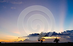 Pasture silhouette with a colorful sunset background