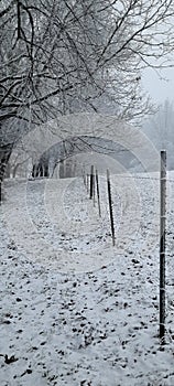 Pasture with snow