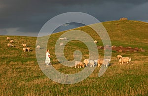 Pasture before storm