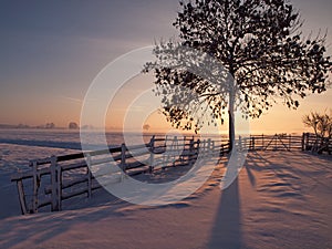 Pasture in winter