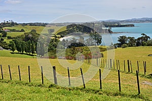 Pastures around Auckland in New Zealand