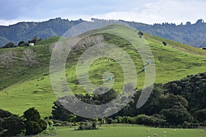 Pastures of Duder Regional Park