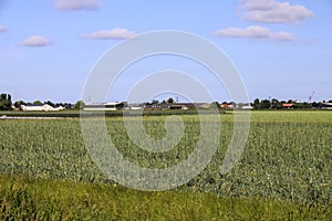 Pastures with farms and roads in the future Fifth Village of the Zuidplaspolder of the municipality of Zuidplas