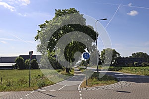 Pastures with farms and roads in the future Fifth Village of the Zuidplaspolder of the municipality of Zuidplas