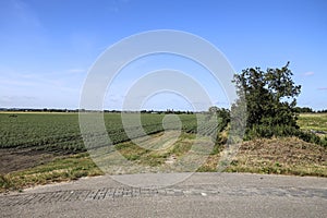 Pastures with farms and roads in the future Fifth Village of the Zuidplaspolder of the municipality of Zuidplas