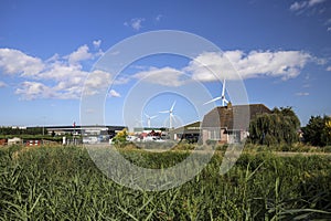 Pastures with farms and roads in the future Fifth Village of the Zuidplaspolder of the municipality of Zuidplas