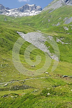 Pastures of the French Alps photo