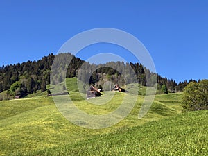 Pastures and mixed forests in the valley of Wagital or Waegital and by the alpine Lake Wagitalersee Waegitalersee, Innerthal