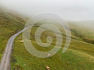 Pastures on a mountain peak