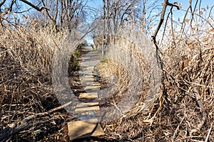 Pat Dolan Trail at Flushing Meadows Park in Queens, New York