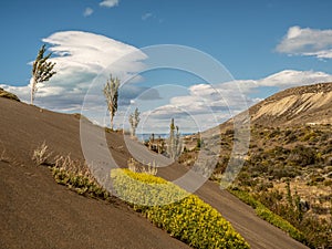 Patagonia dunes