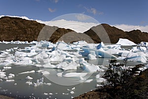 Patagonia - Largo Grey - Torres del Paine - Chile photo