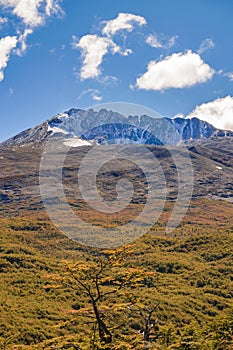 Patagonia Mountain Landscape Scene, Aisen Chile photo