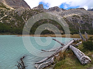 patagonia nature in tierra del fuego