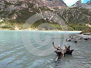 patagonia nature in tierra del fuego