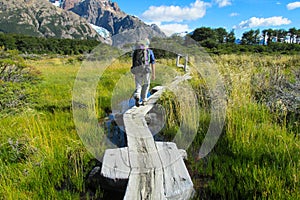 Patagonia trekking path through swamp