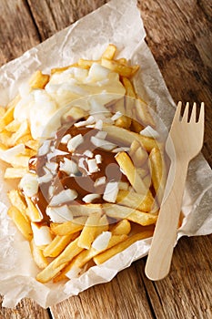 Patatje Oorlog Dutch War Fries topped with mayonnaise a thick Indonesian style peanut sauce, and raw onions closeup in the plate.