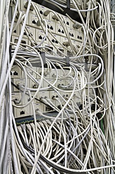 Patch cords and network switch