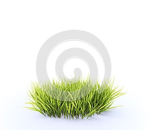 Patch of grass