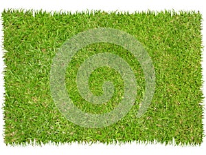 Patch of grass