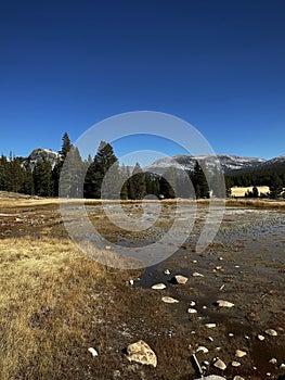 Soda Springs Marsh with Distant Peaks (Yosemite National Park, California, USA) photo