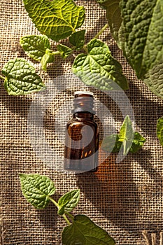 patchouli essential oil on burlap background