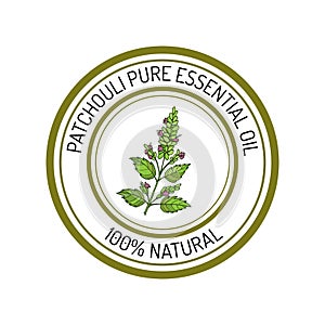 Patchouli, essential oil label, aromatic plant