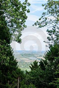A patchwork collection of farmers fields glimpsed through a forest
