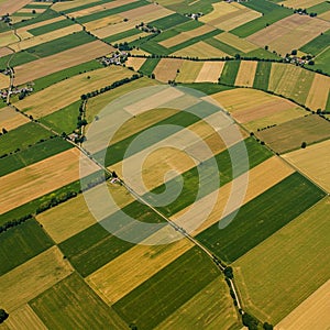 Patchwork landscape of farmland, displaying rectangular fields in varied shades of photo