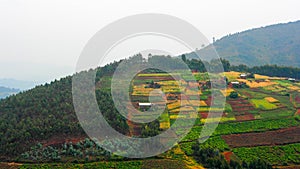 Patchwork landscape of small farming fields on a hill in Rwanda photo