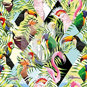 Patchwork tropical birds palm leaves multicolor background