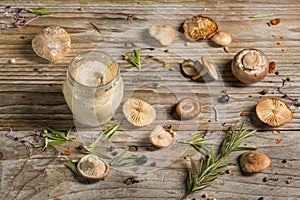 pate of wild mushrooms on the wooden table