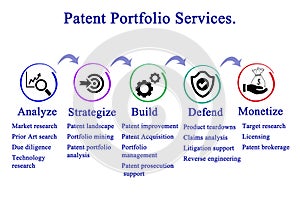 Patent Portfolio Services
