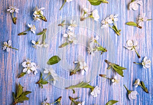 Patern Texture of Spring Flowers on the background of an old vintage blue board