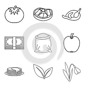 Paternal house icons set, outline style photo