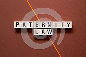 Paternity law word cpncept on cubes photo