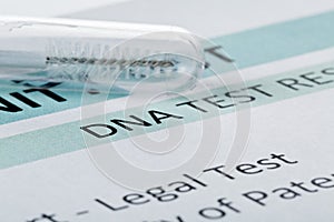 Paternity test result form with buccal swab in test tube