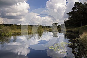 Patersmoer lake near Strijbeek