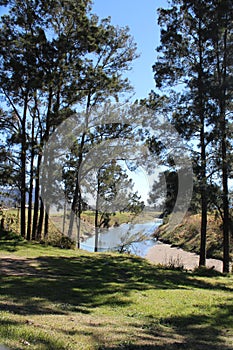 The Paterson River with Trees on the Bank