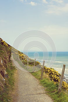 Path above cliff