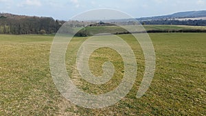 Path accross the meadow