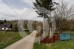 Path across meadow with garden and pine trees