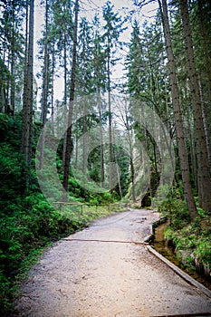 Path Through Adrspach Teplice Forest