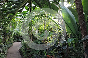 A path in Allan Garden`s conservatory in Toronto