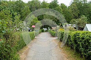 path in a allotmant garden, hedges left and right on the path
